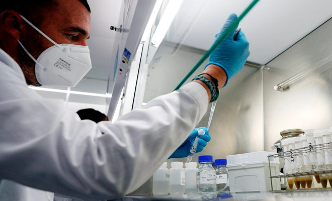 DeFiDegenDad's tweet photo. Científicos de dos universidades de EEUU lograron erradicar el cáncer con metástasis en ratones y perros
https://t.co/L7FdWnMTan https://t.co/IAFra8iofL