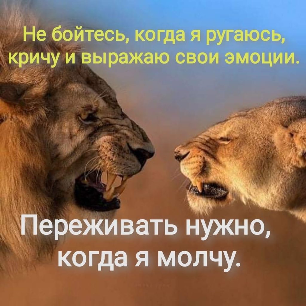 Ветрямка (@vetryamka) on Twitter photo 