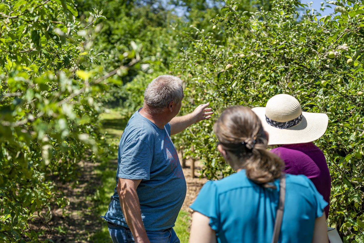 dortelweil's tweet photo. Obstbaugruppe 1889 Dortelweil e.V. öffnete ihre Pforten

#CDUDortelweil besuchte die Obstbaugruppe, gingen mit 1. Vorsitzendem Friedhelm Wagner über das Gelände und sprachen über die Pläne des Vereins.
Ortsvorsteher &amp; Hobbyimker Herbert Anders hat dort auch Bienenstöcke. https://t.co/lIQgqAIbl7