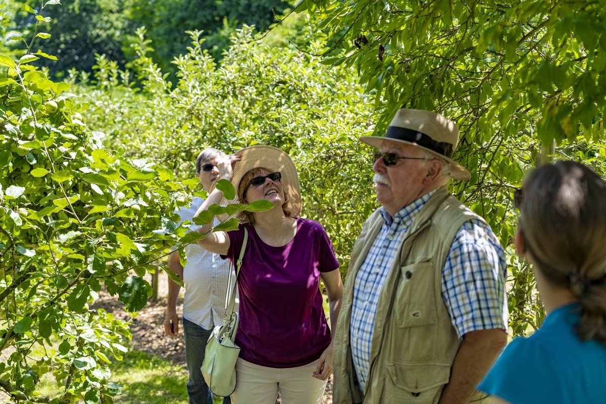 dortelweil's tweet photo. Obstbaugruppe 1889 Dortelweil e.V. öffnete ihre Pforten

#CDUDortelweil besuchte die Obstbaugruppe, gingen mit 1. Vorsitzendem Friedhelm Wagner über das Gelände und sprachen über die Pläne des Vereins.
Ortsvorsteher &amp; Hobbyimker Herbert Anders hat dort auch Bienenstöcke. https://t.co/lIQgqAIbl7