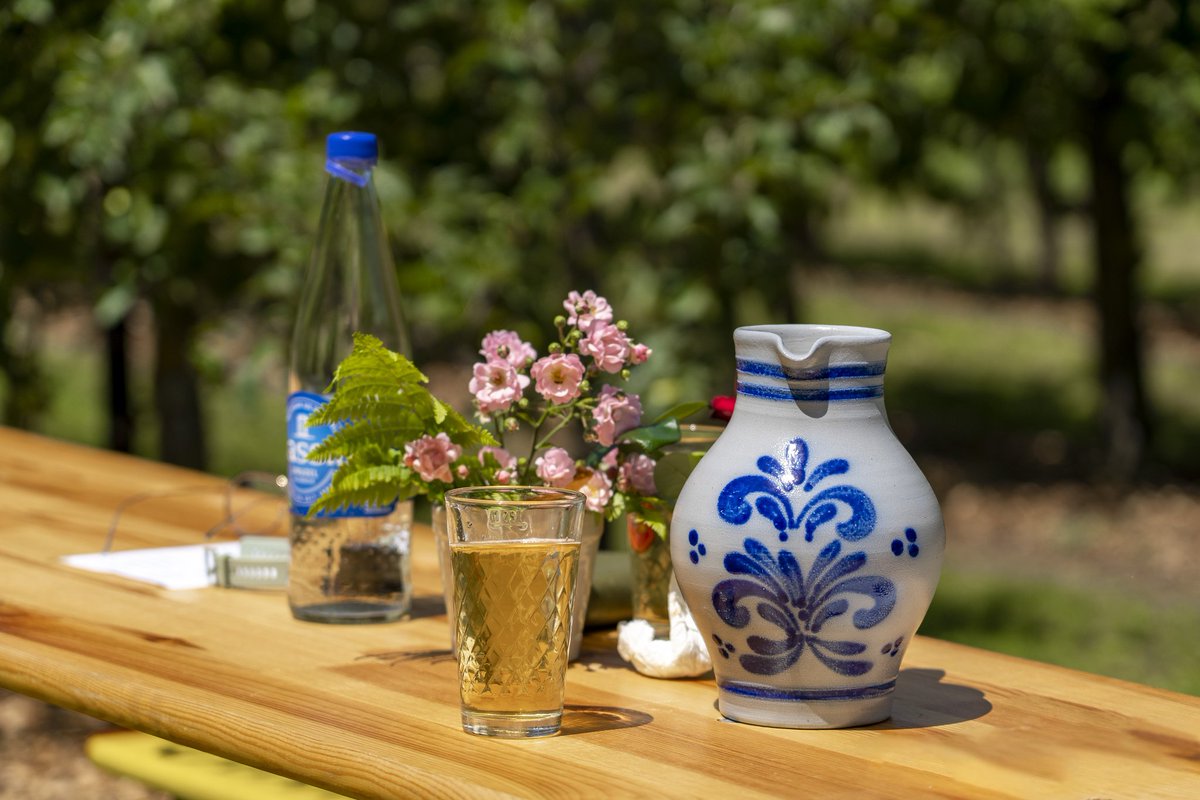 Obstbaugruppe 1889 Dortelweil e.V. öffnete ihre Pforten

#CDUDortelweil besuchte die Obstbaugruppe, gingen mit 1. Vorsitzendem Friedhelm Wagner über das Gelände und sprachen über die Pläne des Vereins.
Ortsvorsteher &amp; Hobbyimker Herbert Anders hat dort auch Bienenstöcke.