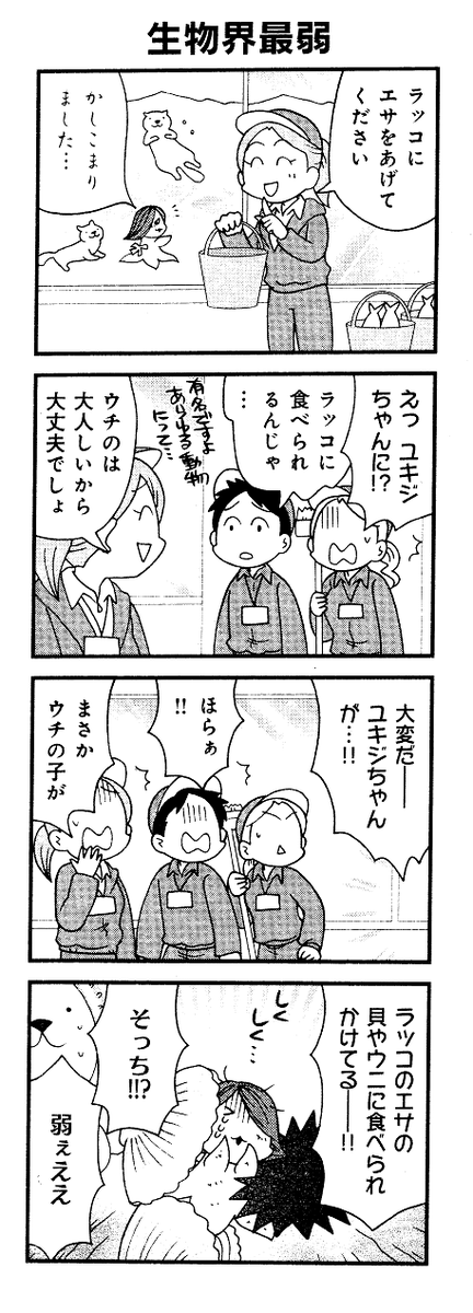 シリーズの最弱不憫系ヒロイン妖精、ユキジちゃん。 
