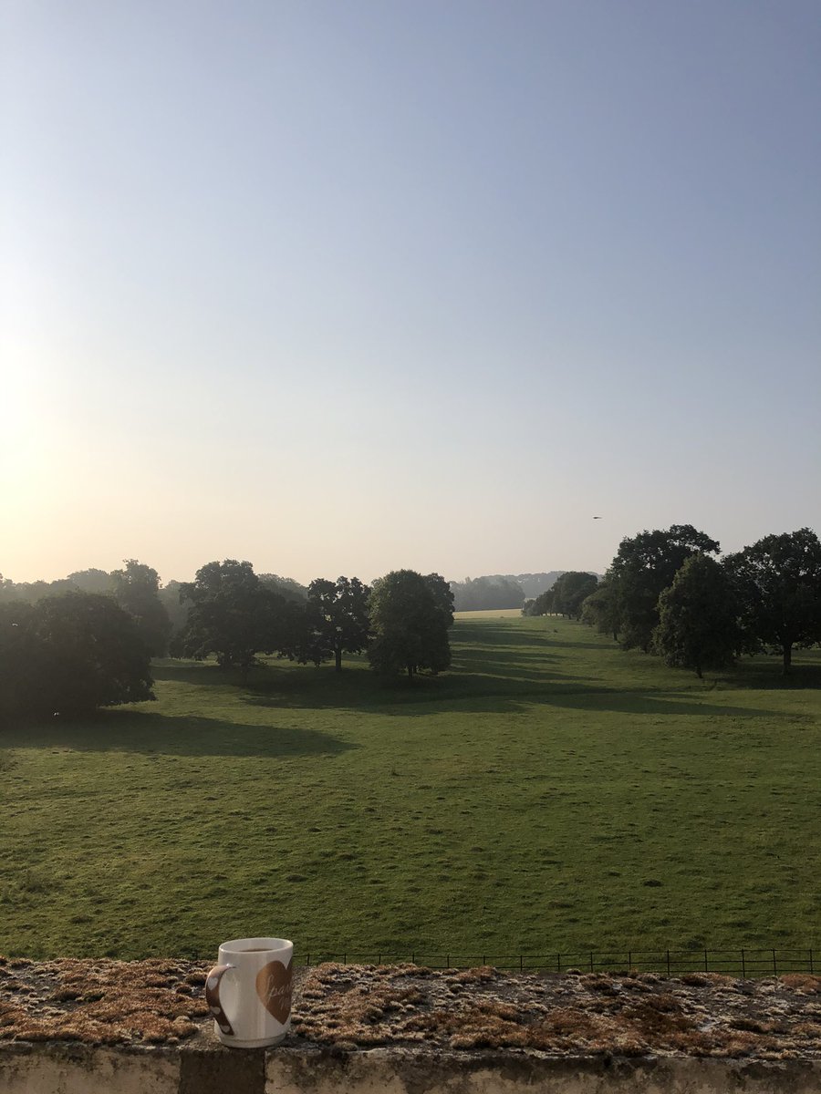 #kids still asleep. Enjoying the morning #coffee before the hectic day. #autism