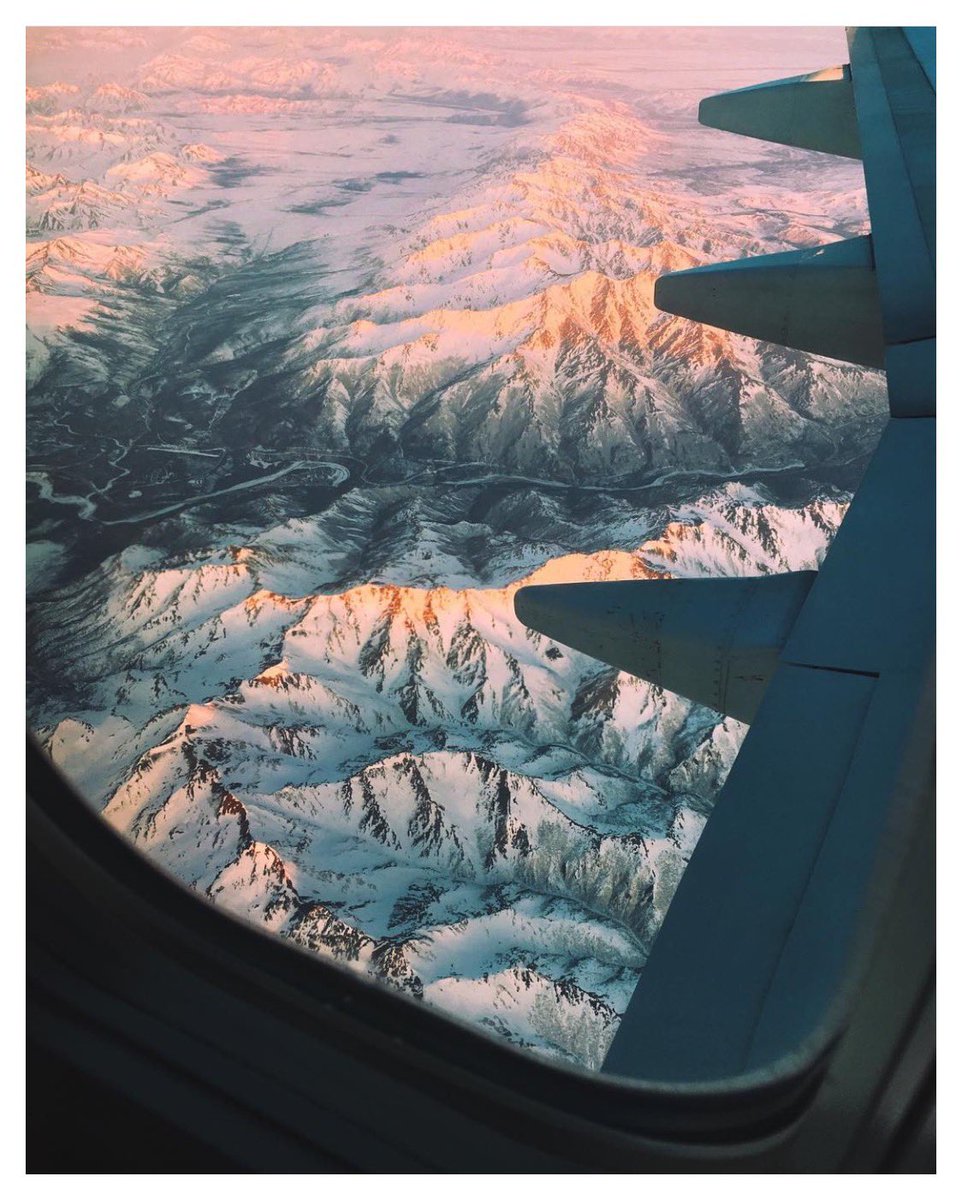 Peter Lopez tweet media