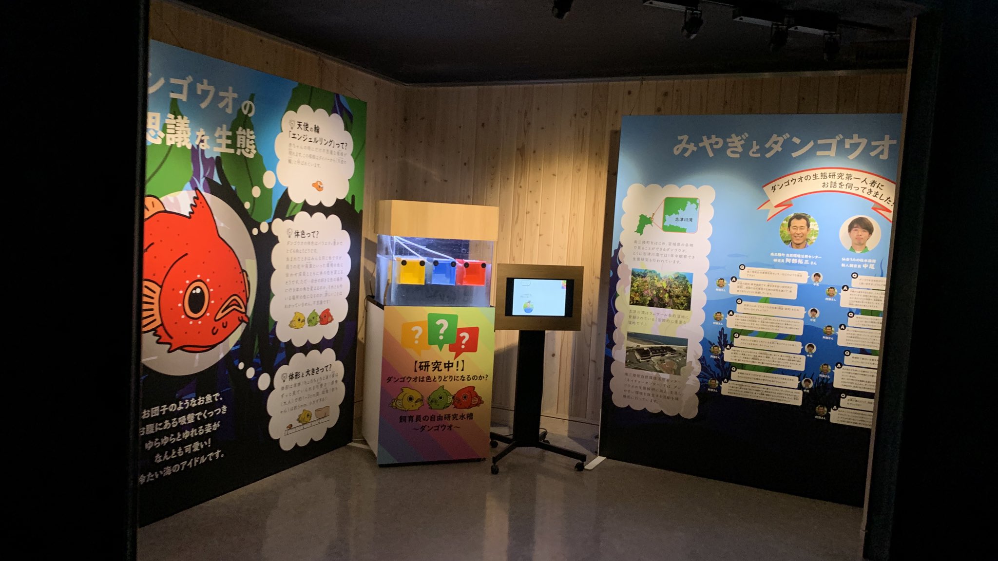 仙台うみの杜水族館公式 仙台うみの杜水族館 本日から自由研究水槽 ダンゴウオ スタートしました 小さくてかわいいダンゴウオ 新人飼育員の研究をぜひご覧ください さらに本日から最終入館18時 閉館18時半と営業時間が長くなりました 仙台うみの杜水族館公式 仙台うみの杜水族館 本日から自由研究水槽 ダンゴウオ スタートしました 小さくてかわいいダンゴウオ 新人飼育員の研究をぜひご覧ください さらに本日から最終入館18時 閉館18時半と営業時間が長くなりました