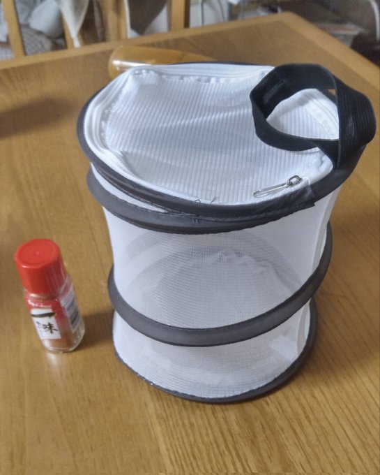 ダイソー虫かごの販売時期はいつからいつまでで冬は売ってる 500円300円商品のサイズに売り場はどこかもご案内 Itakon