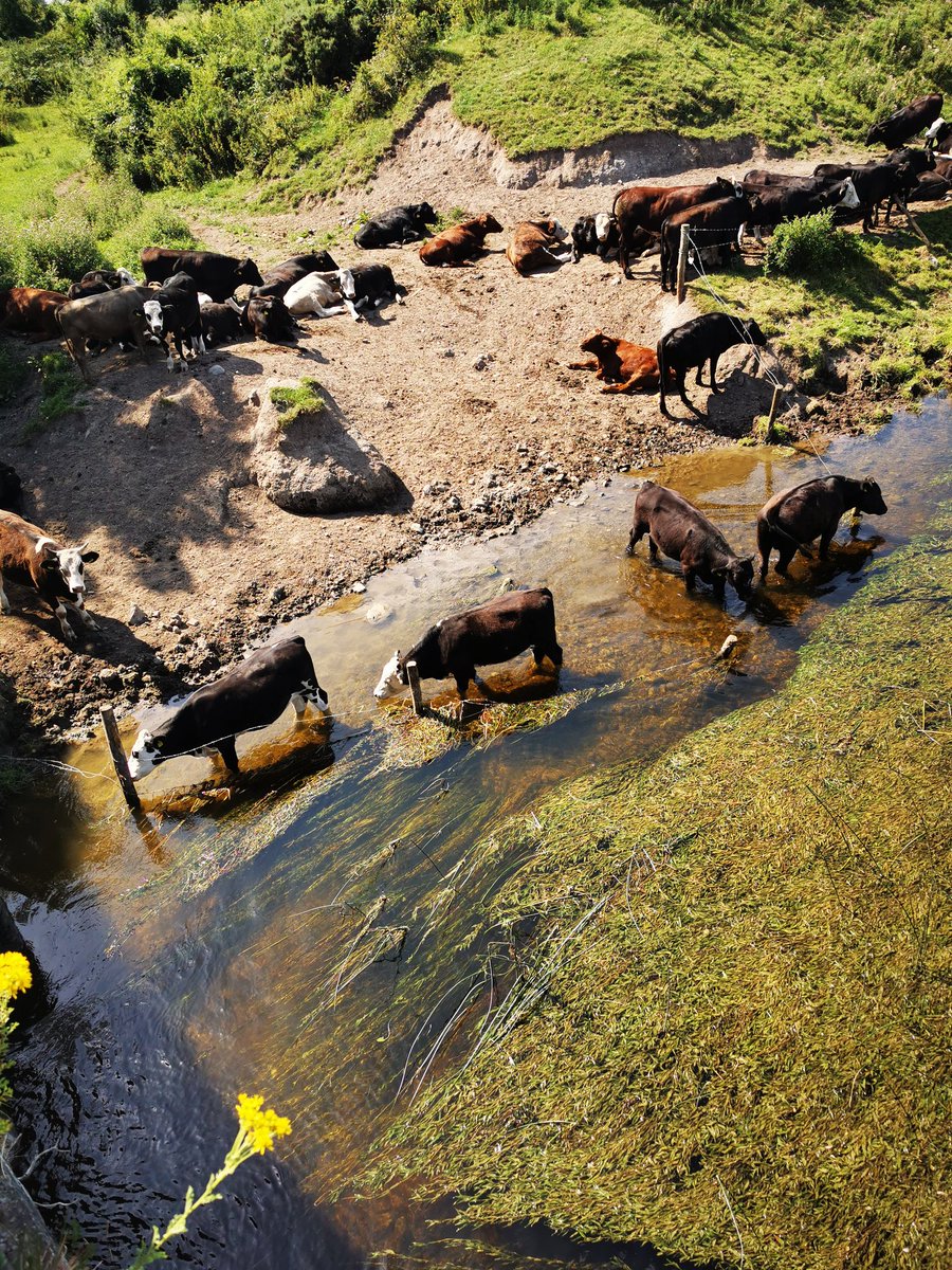 Source of drinking water for #Kildare. <a href="/EPACatchments/">EPA Catchments</a> <a href="/IrishWater/">Uisce Éireann - Irish Water</a>