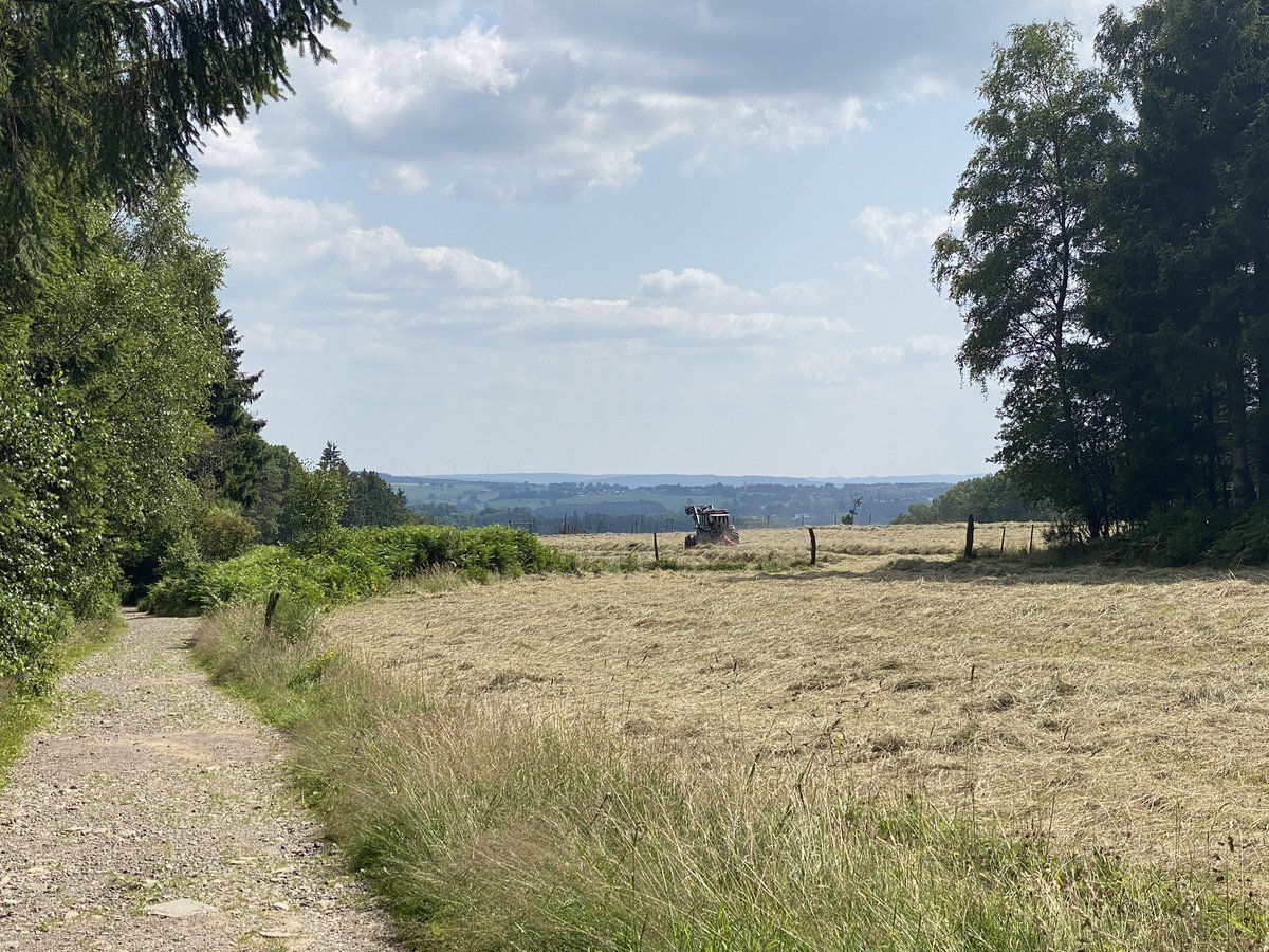 wandelknooppunt's tweet photo. Zomer in de #ardennen. Het ongerepte Trôs-Marets-dal. Download hier deze avontuurlijke wandeling: https://t.co/JKFKOKbR8N https://t.co/AauHUJMMn3