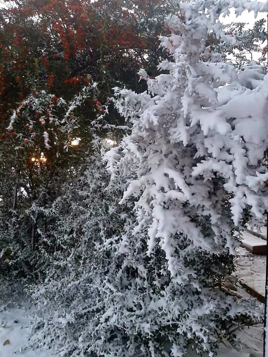ReggieReporter's tweet photo. Snow has started falling in parts of the Northern Cape - including Kimberley amid a severe cold front. The South African Weather Service issued a warning of snow and cold weather over the Western Cape, Northern Cape and Gauteng. #sabcnews 

[PICTURES: Edward Maretjies] https://t.co/2SFlpEOmDO