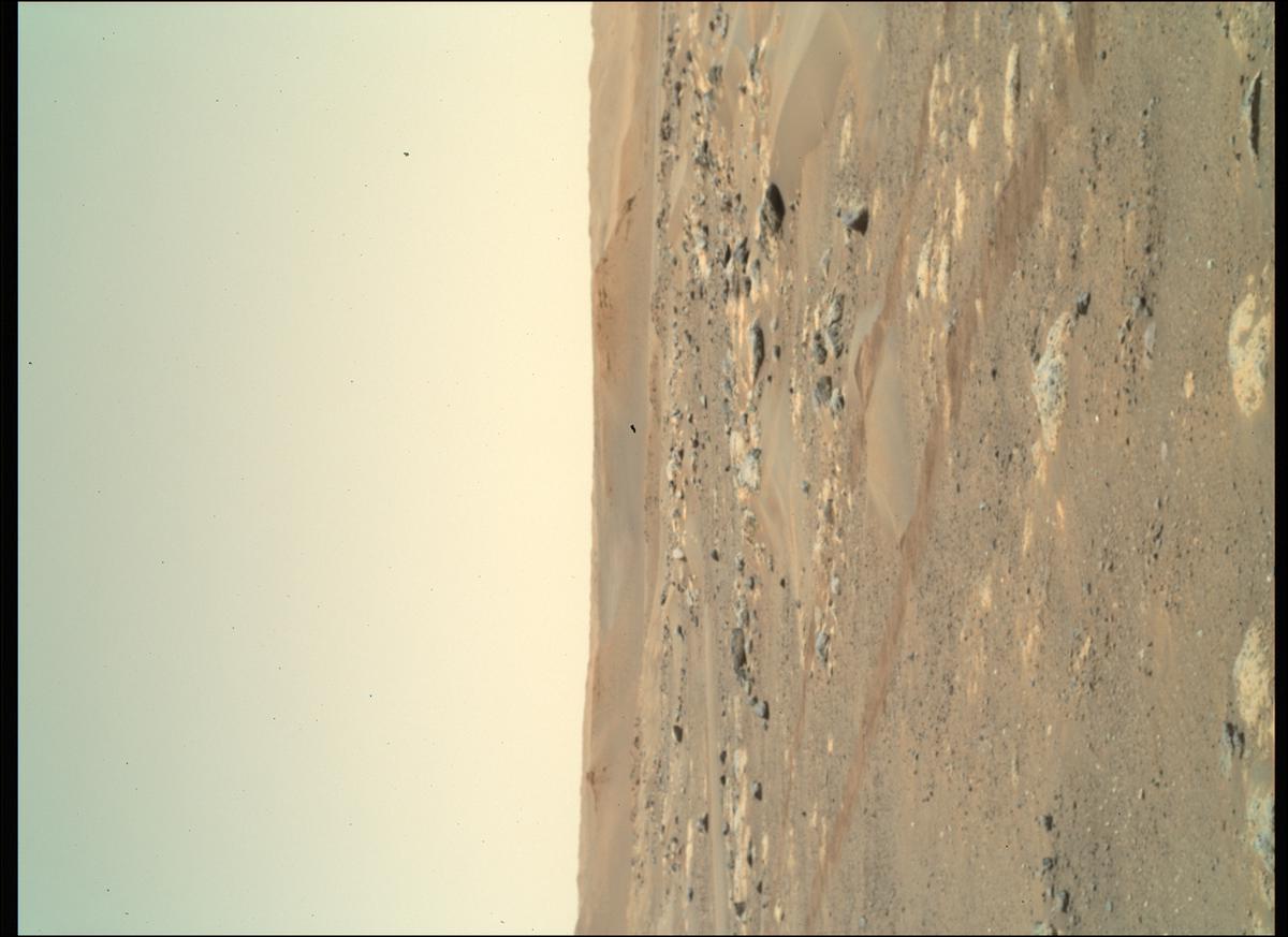 MarsMissionImgs's tweet photo. #PerseveranceRover image taken on #Sol130 at 11:27:52.939 AM with #SherlocWatson #Mars #NASA #Space https://t.co/ciNZ21VlZo