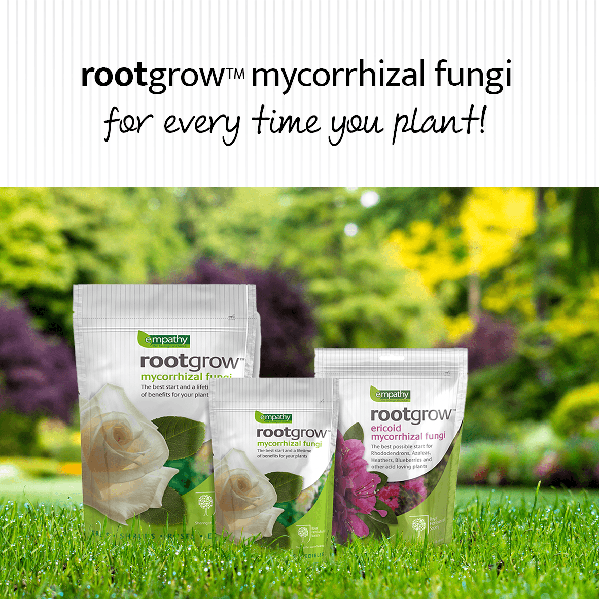 empathyrootgrow's tweet photo. Mycorrhizal fungi have the ability to unlock and access nutrients from the soil far more efficiently than a plant’s own roots 🍄  

Read our latest blog post on 'Healthy Soil Healthy Planet' for further information  🌱
https://t.co/UEUA9ySLLH

#MycorrhizalFungi #organicgardening https://t.co/Z3Bf9HtDuu