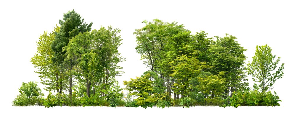 The new Packaging Act (VerpackG) came into force. This is intended to bring the Packaging Act into line with the current EU directives and to improve its enforcement. Especially important  is the change of the registration procedure. Read more... pincvision.com/news/new-regis…