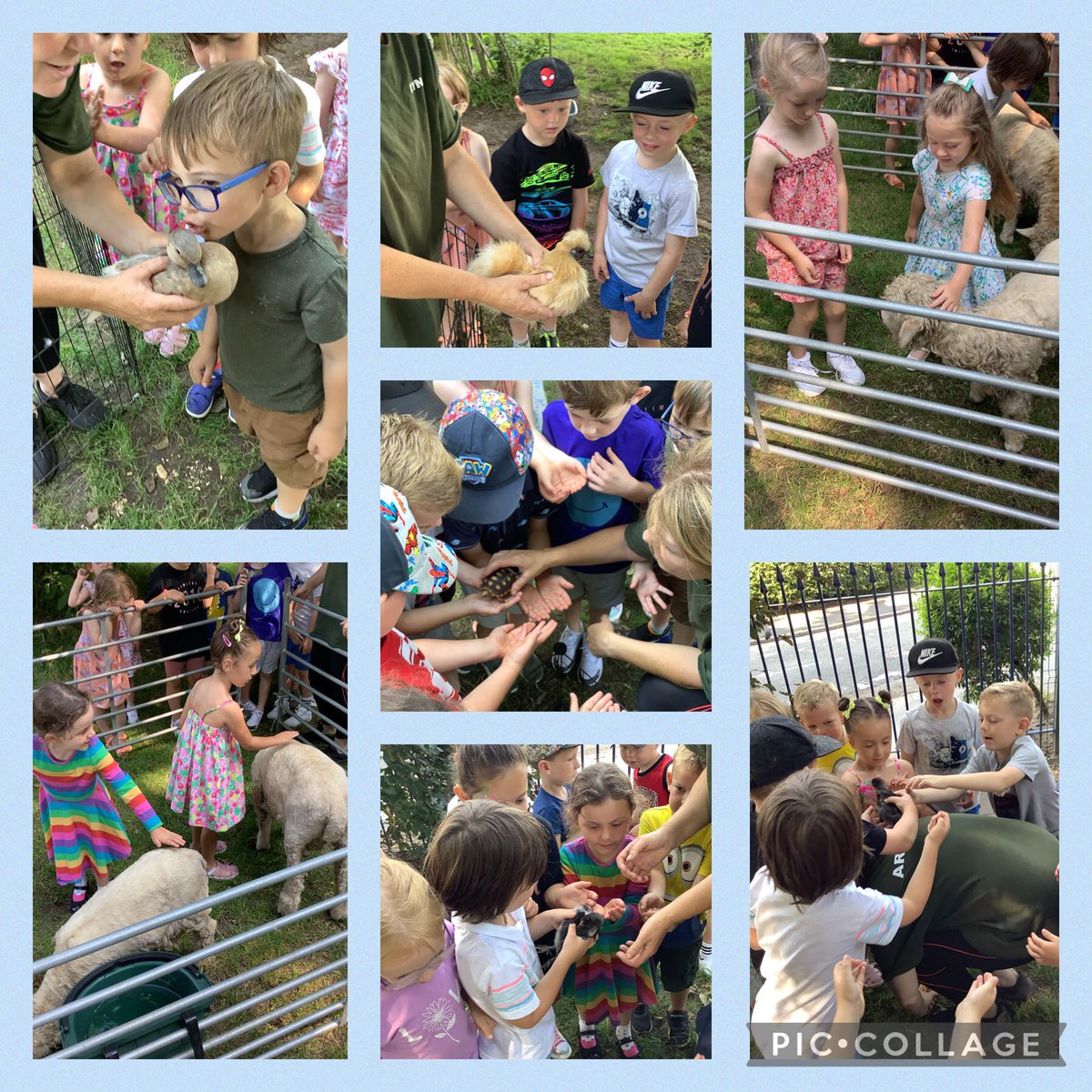 What a brilliant last couple of days we have had! It was lovely to have the children celebrate my surprise baby shower and we treated them to a pick n mix which they made up themselves. On the last day, we had an amazing time meeting all the farm animals and eating ice cream!