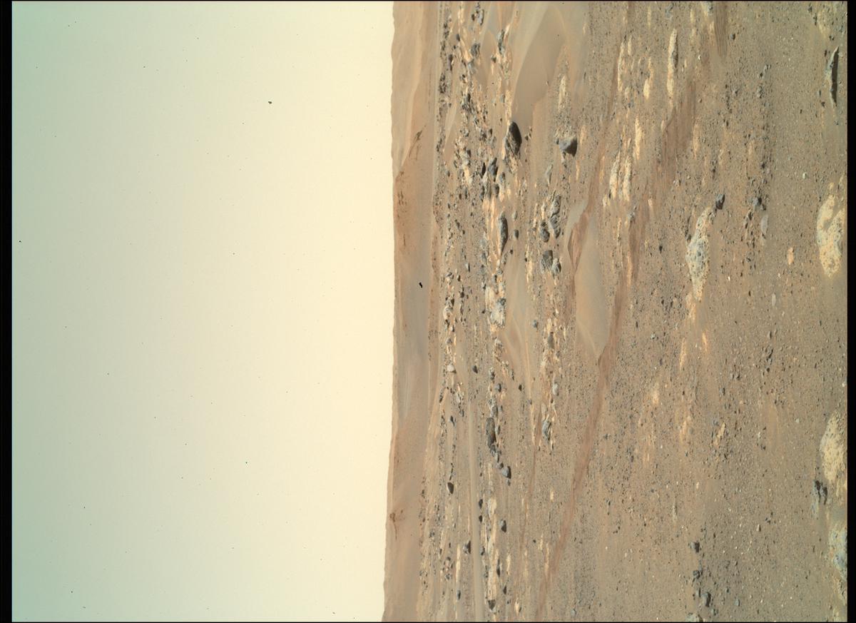 MarsMissionImgs's tweet photo. #PerseveranceRover image taken on #Sol130 at 11:28:33.816 AM with #SherlocWatson #Mars #NASA #Space https://t.co/CO2qjs9CRC