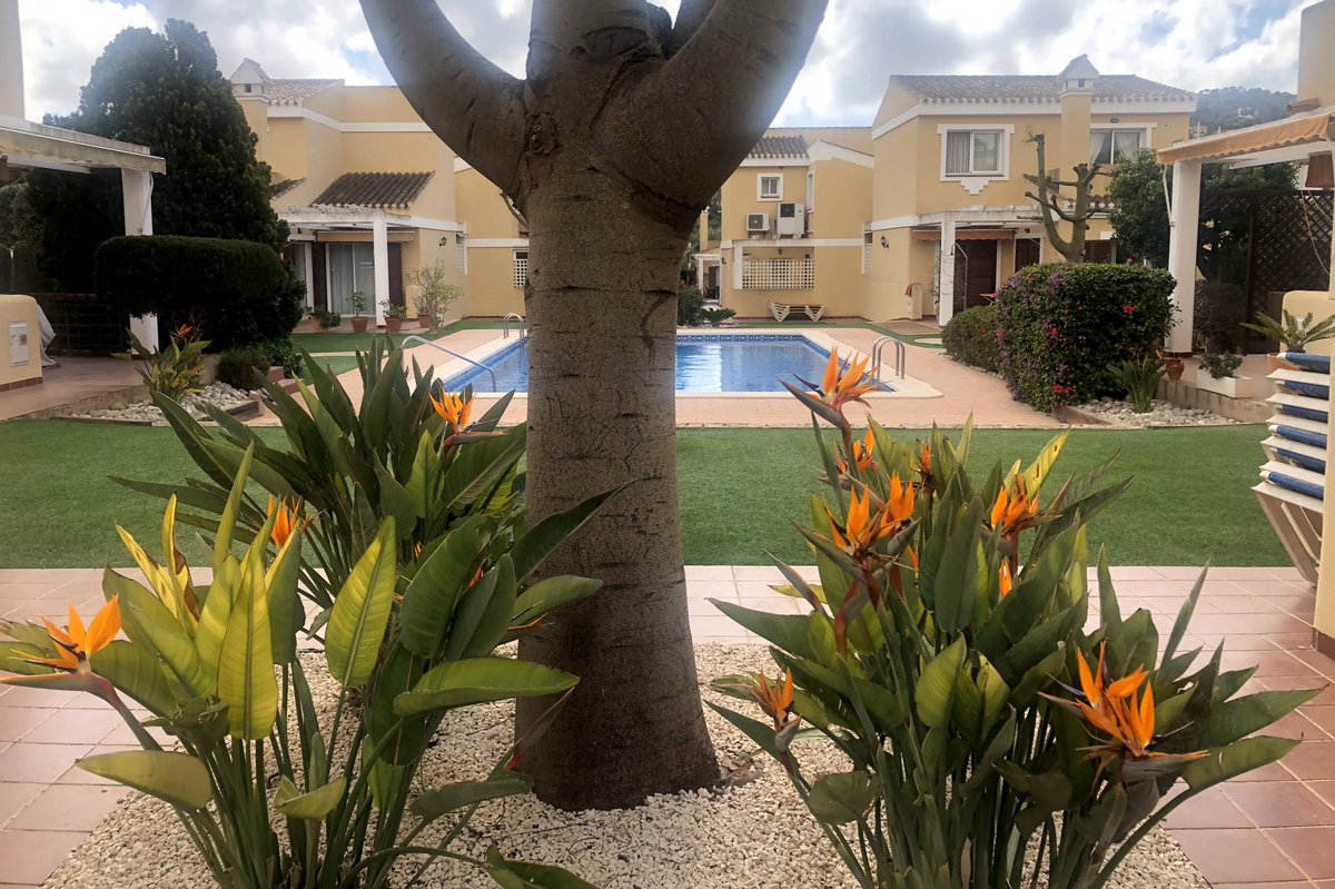 montemaresgolf's tweet photo. ¿Conoces ya nuestros apartamentos y villas de lujo disponibles para alquiler y venta? 🌴 Para más información: + 34 609 490 994
https://t.co/xNNLv74Vob https://t.co/7aV2ELr3C3