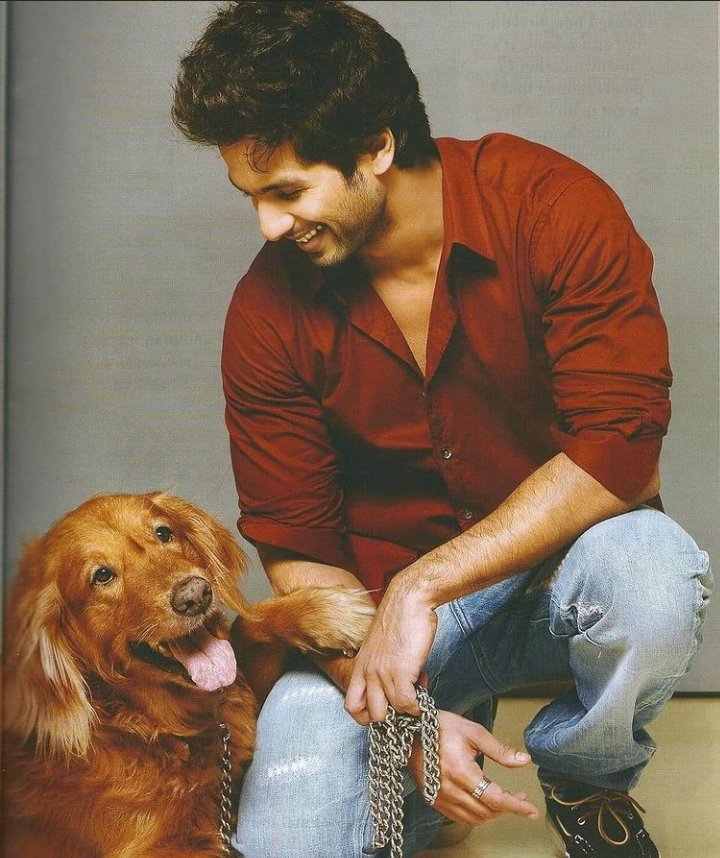 KhushbuShantic's tweet photo. @shahidkarmy @shahidkapoor 💓💕���☺️ https://t.co/qeen2xIKDq