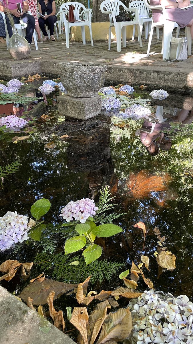 masterjardines's tweet photo. A punto de empezar la Jornada de Jardines Históricos, en el Jardín del Conde #puertodebejar organizada por la @castillayleon en el marco de un proyecto @Sudoe5 https://t.co/xFuGjSmCDf