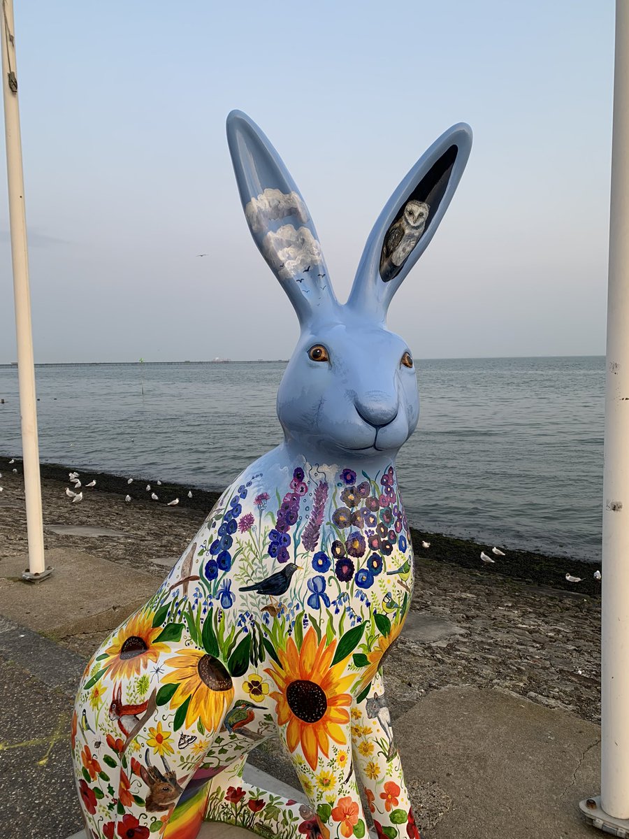 Katherine Crowe tweet media