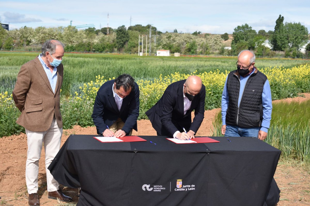 edit_agricola's tweet photo. 🤝 Acuerdo entre @ITACYL y #Geslive para investigar la mejora genética del trigo en #CastillayLeón 🔬 Harán ensayos para mejorar la calidad de la semilla y comprobar si se adapta al cambio climático 🌱 Los detalles en ⤵️
https://t.co/rWPJB3laTK | #Agricultura
@AnoveObtentores https://t.co/M7lG4qvM2p