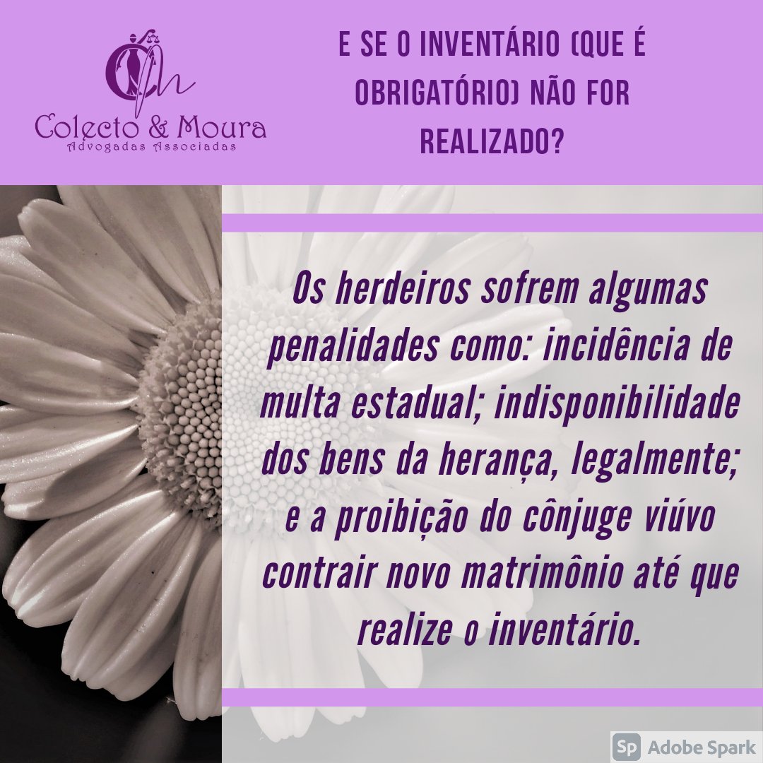 AdvColecto's tweet photo. Entenda mais sobre o inventário
(Parte 2)

#inventario #direitodefamilias #direitosucessório #familiaesucessoes #colectoemoura https://t.co/kEiFAR39dR