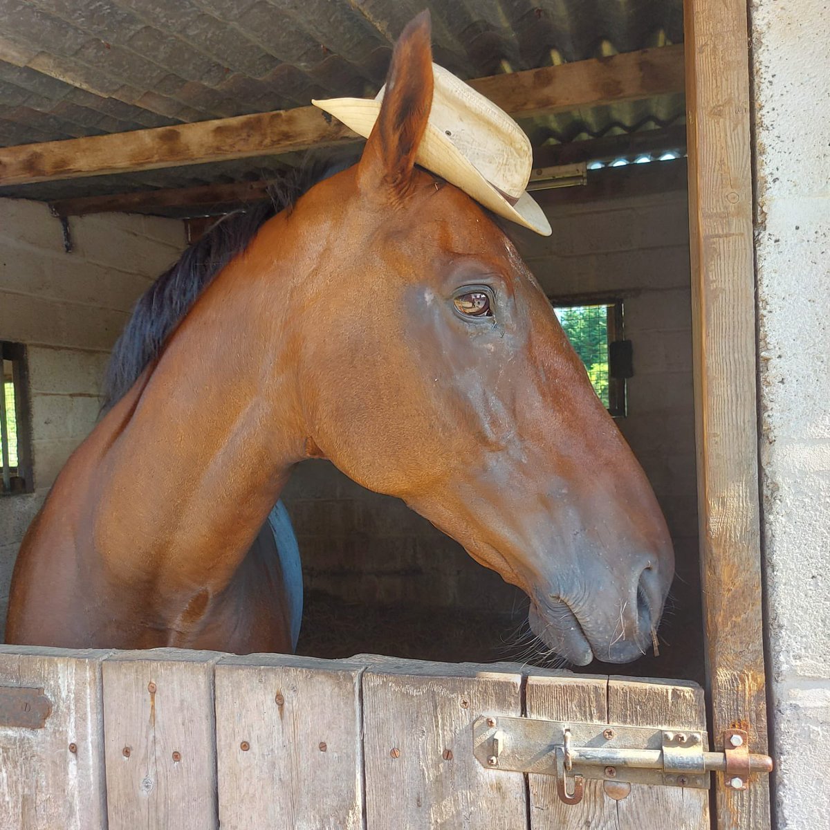 Keeping cool in the extreme heat 😎
