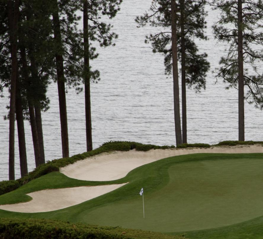 radmorgolf tweet media