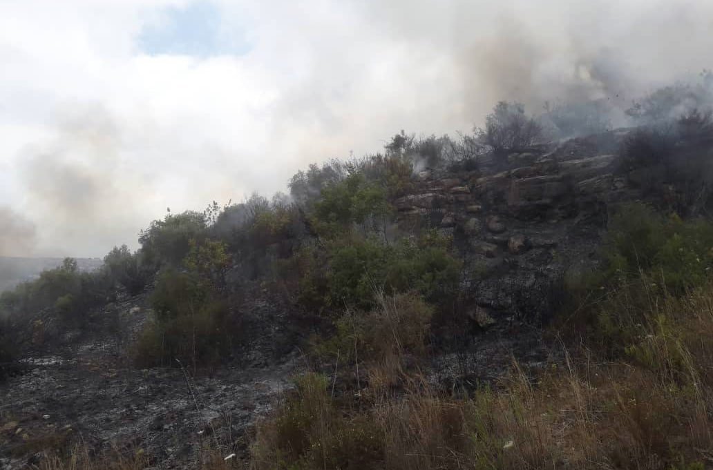 #Syria: Firefighting teams of the Qardaha City Fire Center are working to put out a fire in agricultural lands.