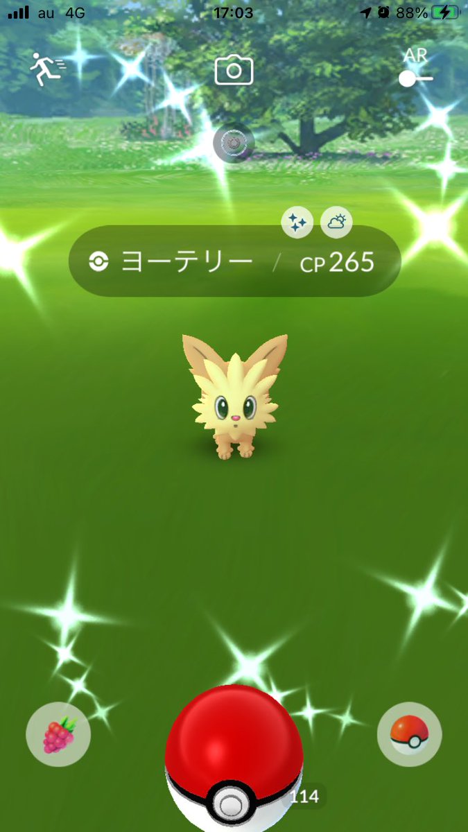 ポケモンgo ヨーテリーの色違い 入手方法と実装状況 攻略大百科