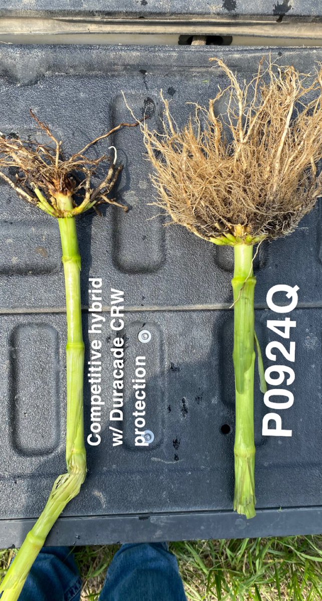 Prosper Ag, LLC tweet media