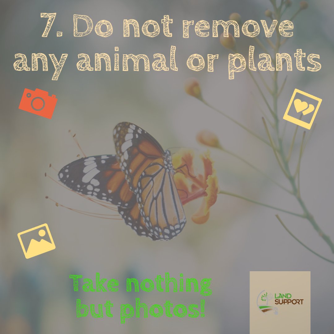 LandSupport_EU's tweet photo. β±βοΈ Summer is coming: what about going for an #ecotourism experience? It's easy, with the #landsupport beginners' guide! π
πAnd you can check our brand new Ecotourism tool on https://t.co/RqcPze8qLZ (user name: demo; pwd: demo) https://t.co/iNlrCvrqQk