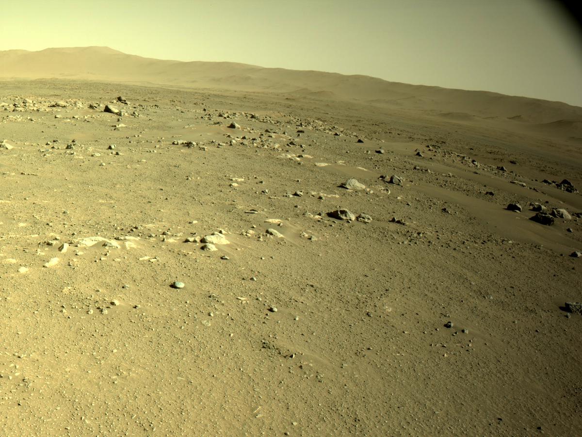 MarsMissionImgs's tweet photo. #PerseveranceRover image taken on #Sol130 at 3:02:34.902 PM with #Navcam #Mars #NASA #Space https://t.co/bH9BMfY4mp