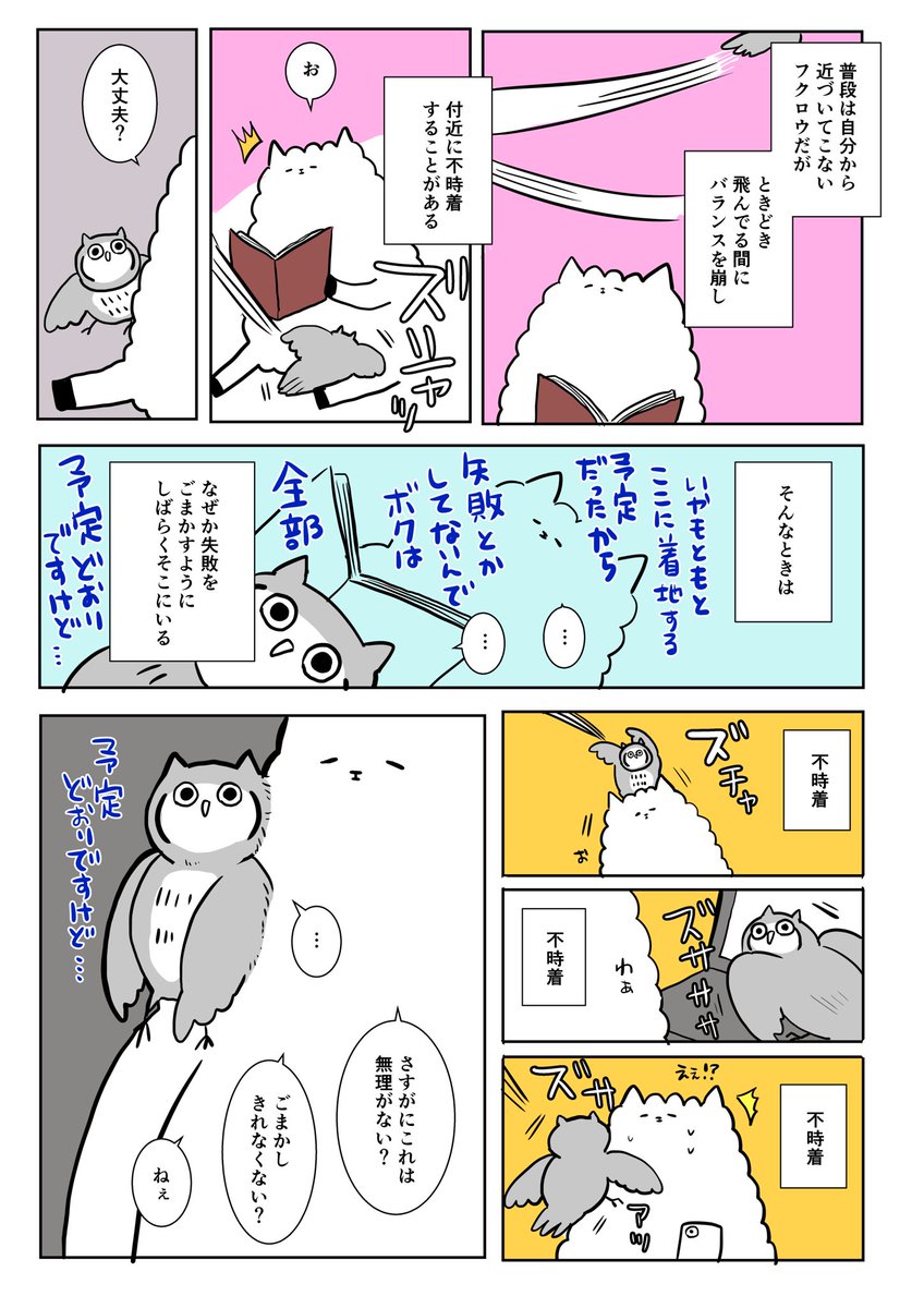 フクロウとの距離感 