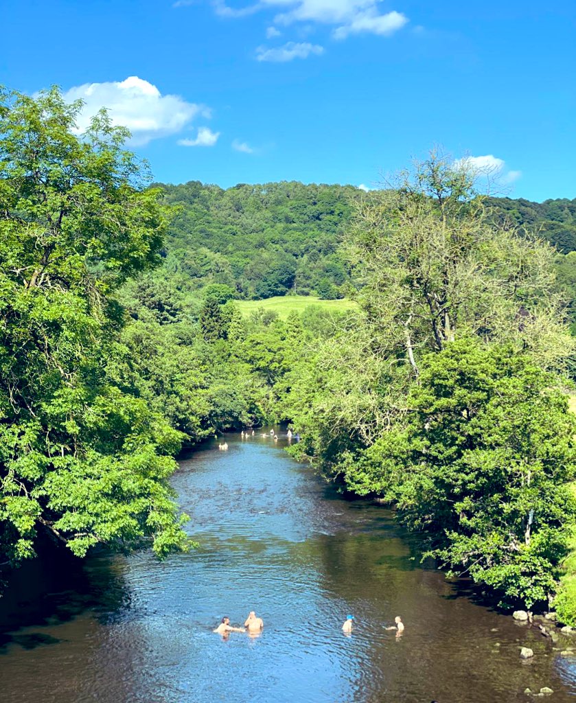 Ben Seal tweet media