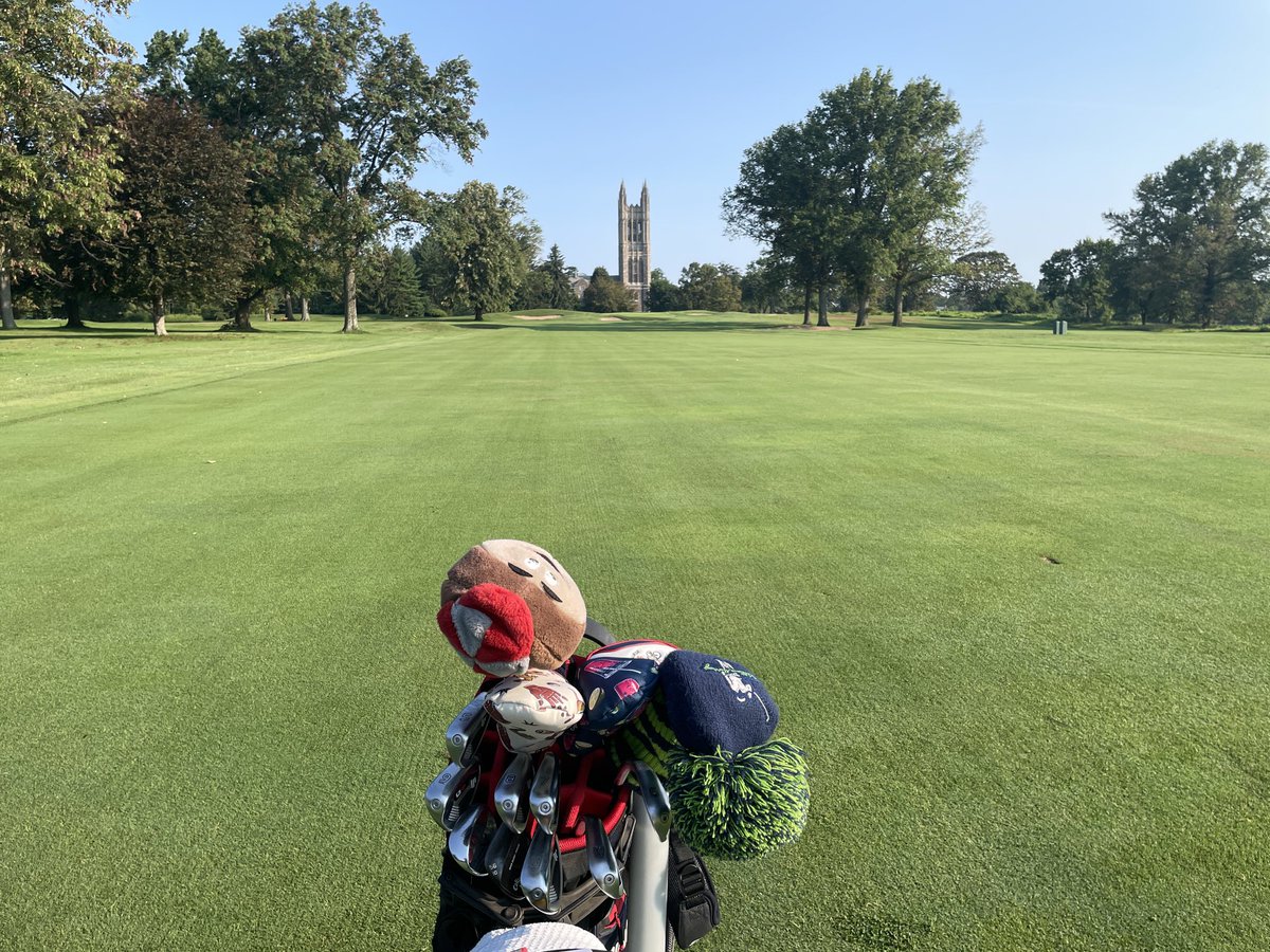 Donovan Maguigan tweet media