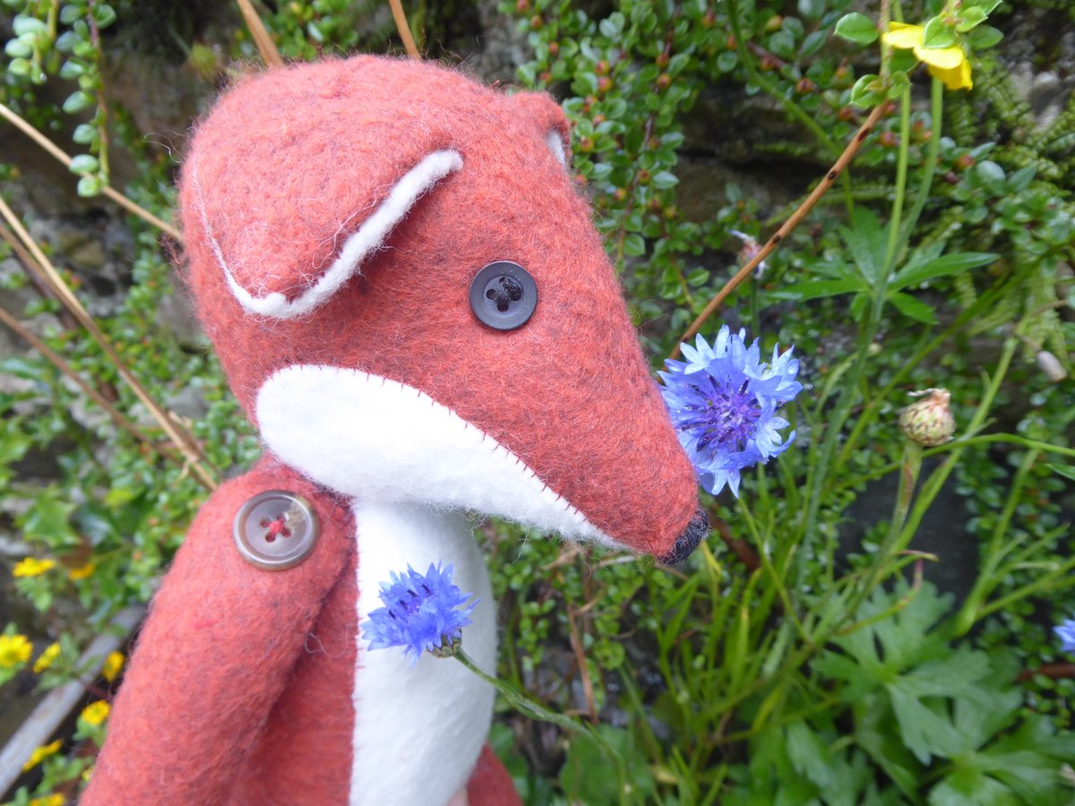 WOW! What a surprise (a lovely one!) to receive an unexpected donation from <a href="/coolcrafting/">Sarah Peel</a> Kendal. They recently raffled off a box of crafting goodies &amp; donated a whopping £1,053! Huge thanks to Cool Crafting &amp; everyone who bought a ticket! 📷 Cool Crafting, Cumbria Wildlife Trust