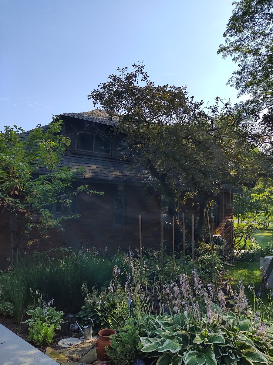 jaywoo4949's tweet photo. Welcome back to the SUCK, 75° pitch. With trees in the way of the scaffolding.
#ROOFIN #DUMBESTSPORTEVER https://t.co/nmbmkuhL5u
