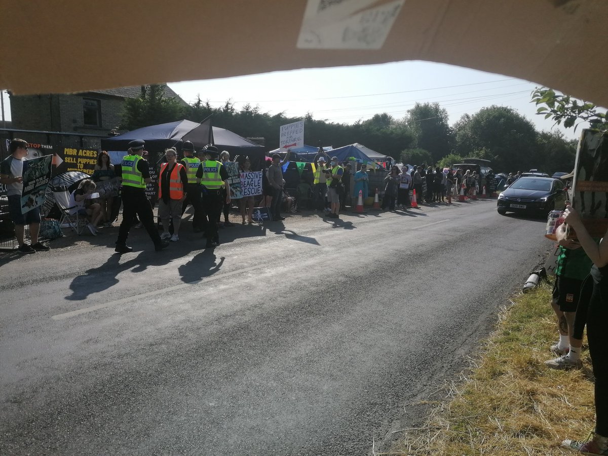 AdoptionsUk's tweet image. Pleas retweet, protesters and police out in force today outside MBR #Cambridge where 2000 Beagles are bred each year to be used in cruel experiments in labs across the UK
96% of these experiments don't work in humans⚠️
Please sign here to end this now👇✍️
petition.parliament.uk/petitions/5917…