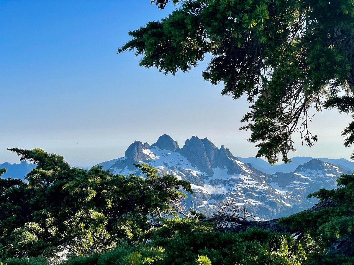 Stasher_BC's tweet photo. Peaking through the trees, framed by nature.
#MountainLife #VancouverIsland
https://t.co/NBnFUQCikE ~ backpacking, trip ideas, how-tos and gear reviews. #getoutside #mindfulexplorer https://t.co/1ozlzPrgPH