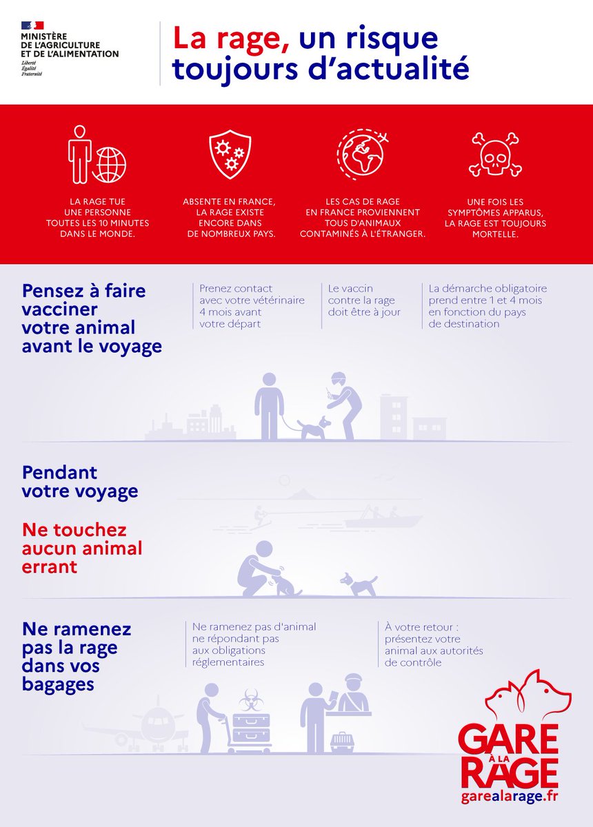 Agri_Gouv's tweet photo. #GareALaRage, ne la ramenez pas dans vos bagages !
Les bons réflexes :
✅Votre animal doit être vacciné avant le voyage
❌ Ne touchez pas d'animal errant
Toutes les infos sur https://t.co/CZAGXIaTxp https://t.co/K0uyuLDiS5