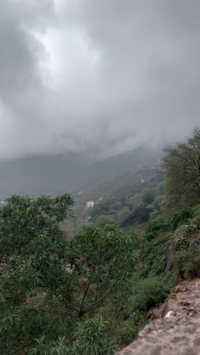 لا حد يروح الجنوب حر وغبار مطر مافيه ماعليكم من الصوره 😹😹😹
 #الجنوب