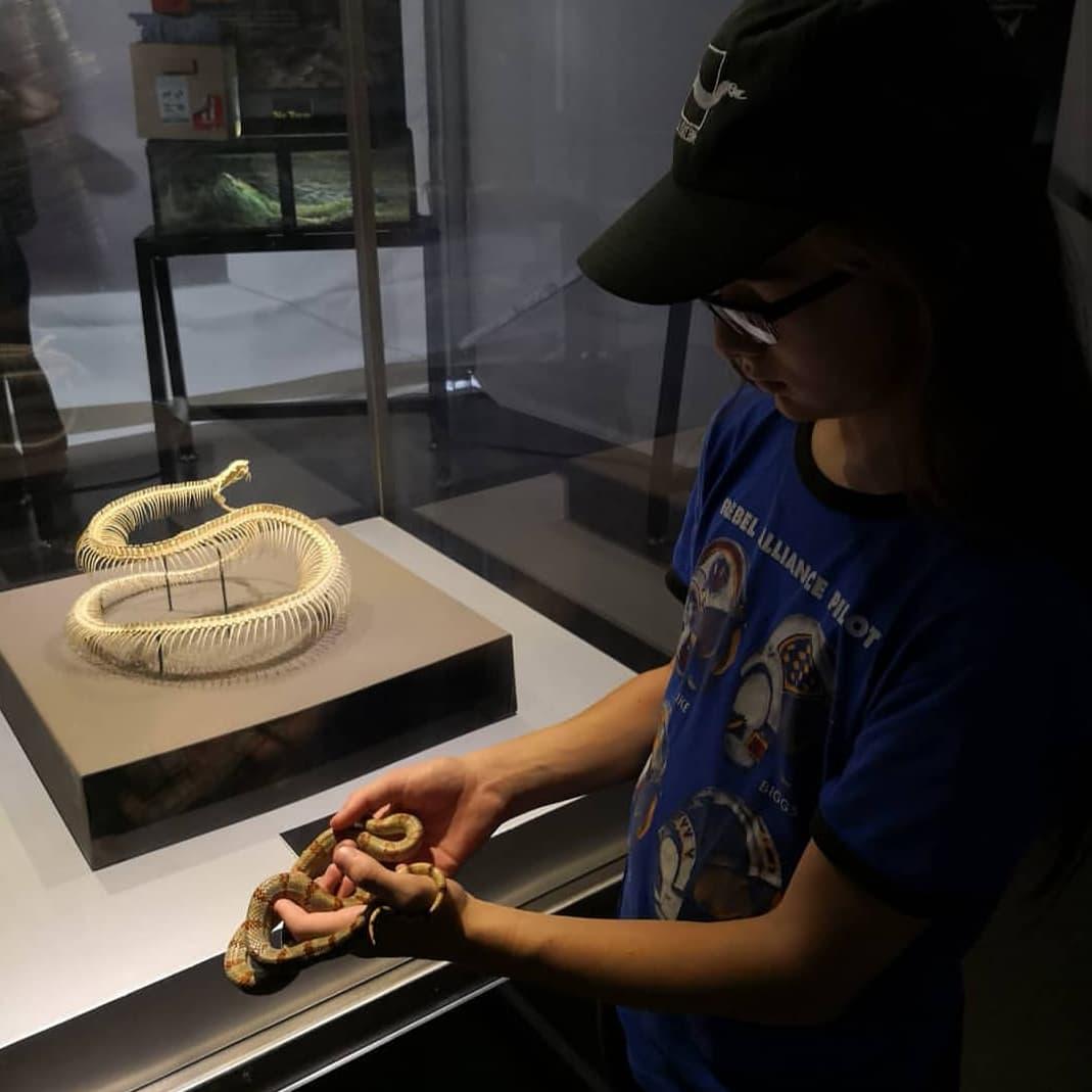 ExpoLaCulebra's tweet photo. Ya extrañamos al #público en nuestras #exposiciones.
La #pandemia aún no termina, la #cuarentena relajada aún no nos permite regresar a los #museos
Seguimos trabajando
#museo #zoológico #herpetario
#exposicionesLaCulebra #rentaDeExposiciones #exposicionesEnRenta https://t.co/FTqUXLo6Rz