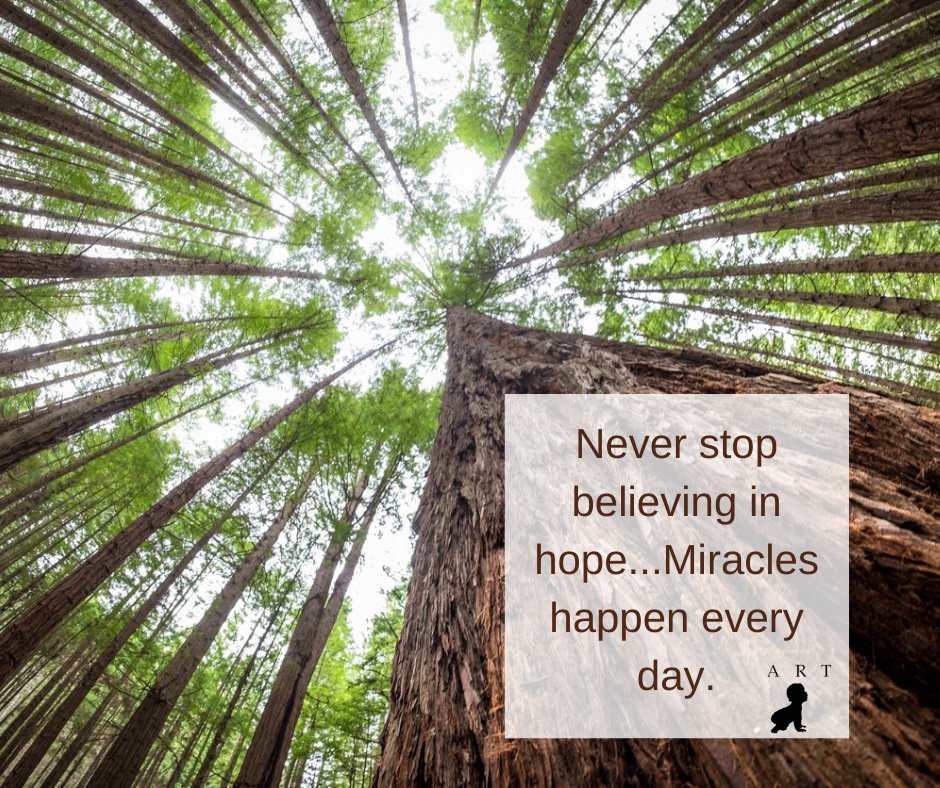 ART Fertility tweet media