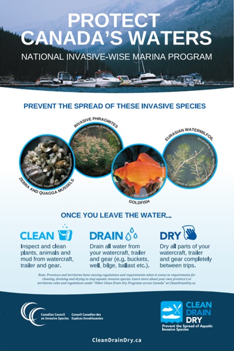 Learn about the #Invasive Wise Marina's 🛥️program and what marina owners can do to help stop the spread of aquatic invaders on their docks! ⚓  InvasiveWiseMarinas.ca