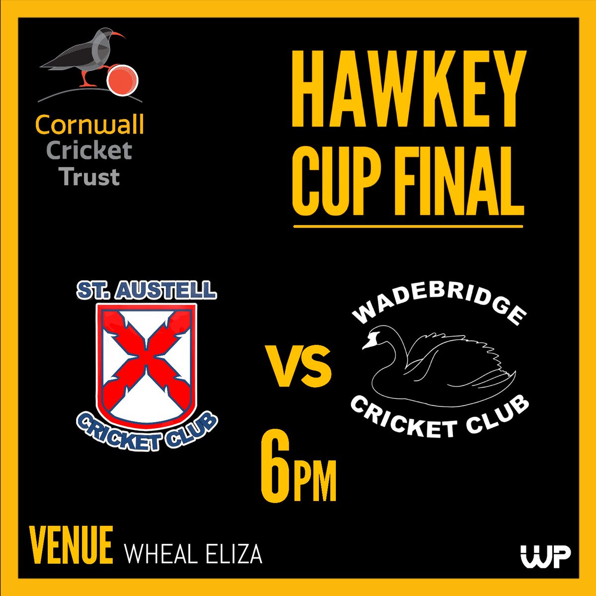 Cornwall Cricket Trust tweet media