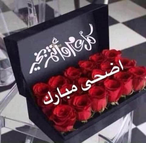 عبدالله أبوليفة Abdullah Abulifa (@abulifaabdullah) on Twitter photo 