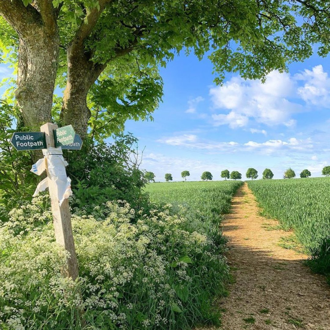 Thank you for tagging us 💚 Cotswold Scot  📍Cotswold

How wonderful it is to live here...👌

#Cotswolds #ShotOnIphone #UK #PhotosOfBritain #InstaBritain #CowParsley