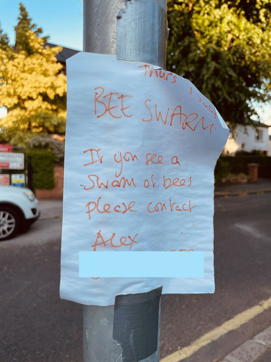 This is really sad when you imagine that Alex is just a very lonely bee.