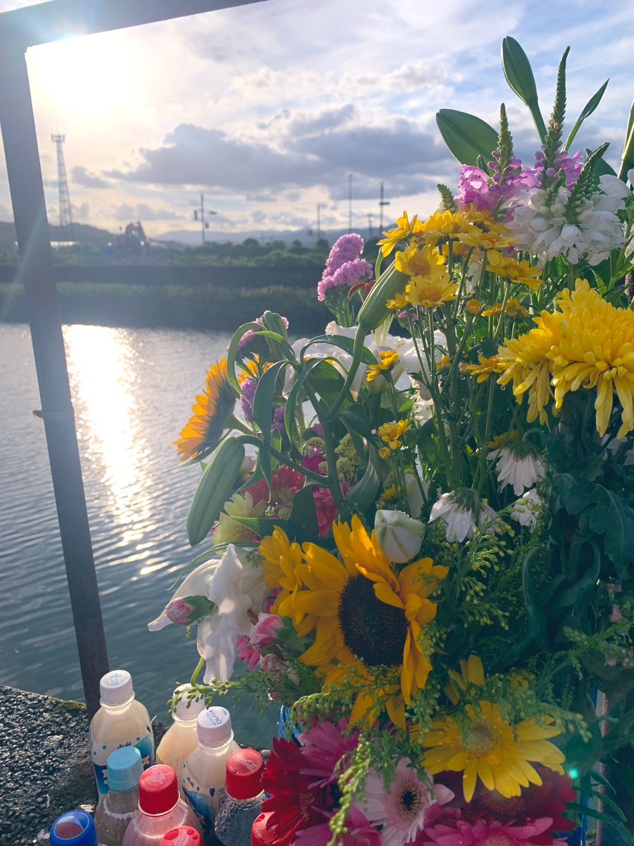 Hirohina6's tweet photo. #高知県小学生水難事故 

お疲れ様です

岡林です。

先程やっと献花の交換に行けました。
夕方なのにこの暑さ...
暑さに強いはずの菊もフニャフニャになってます...

支援して頂いている皆様。
今日は手を合わせて頂きありがとうございました。

引き続きご支援宜しくお願いします。

#team_hinakun https://t.co/lAELikPnYH