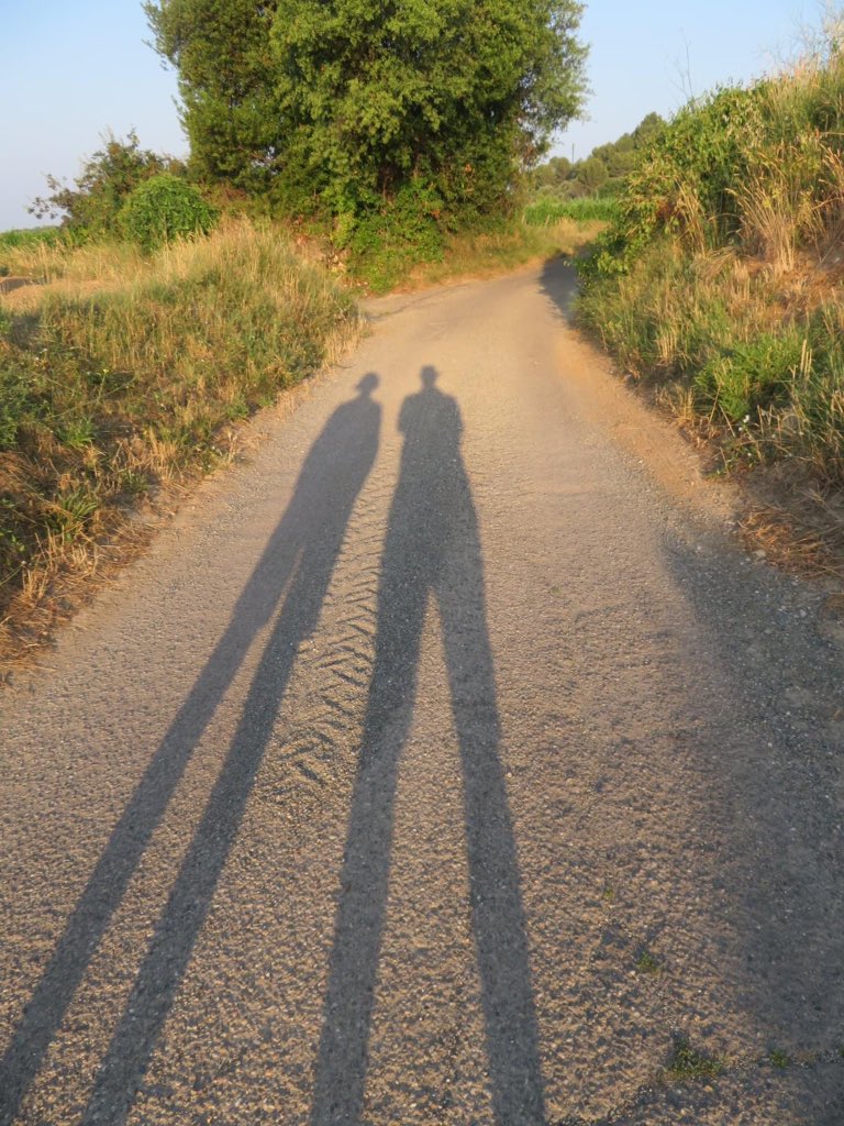 In the heat of the Languedoc summer we take our daily walk at 7.00am. Then there is a stretch in the mornings.