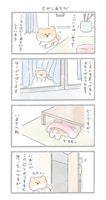 おいぬとかくれんぼをする#こんにちはいぬです 